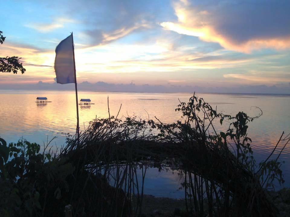 Birdland Beach Club Bolinao Exterior foto
